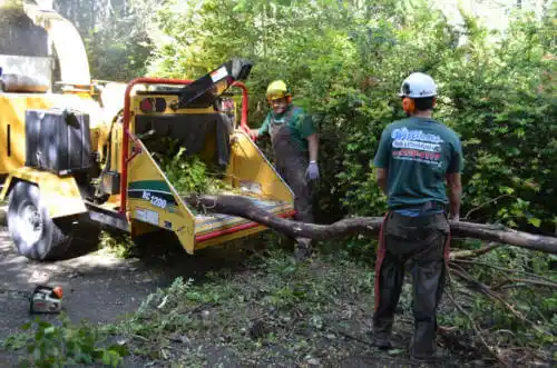 tree services Fussels Corner